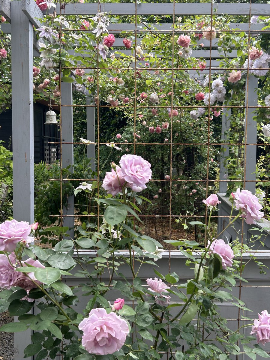 いずみん (@izuminn0401) / Posts / X