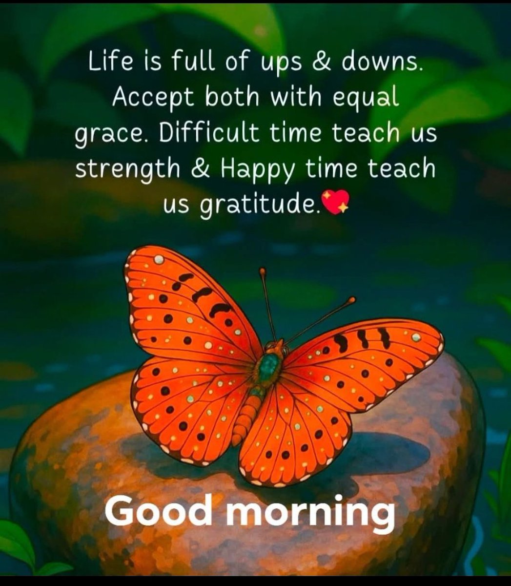 bmishru's tweet photo. Good morning 🌄 https://t.co/OVIIiQhB3J