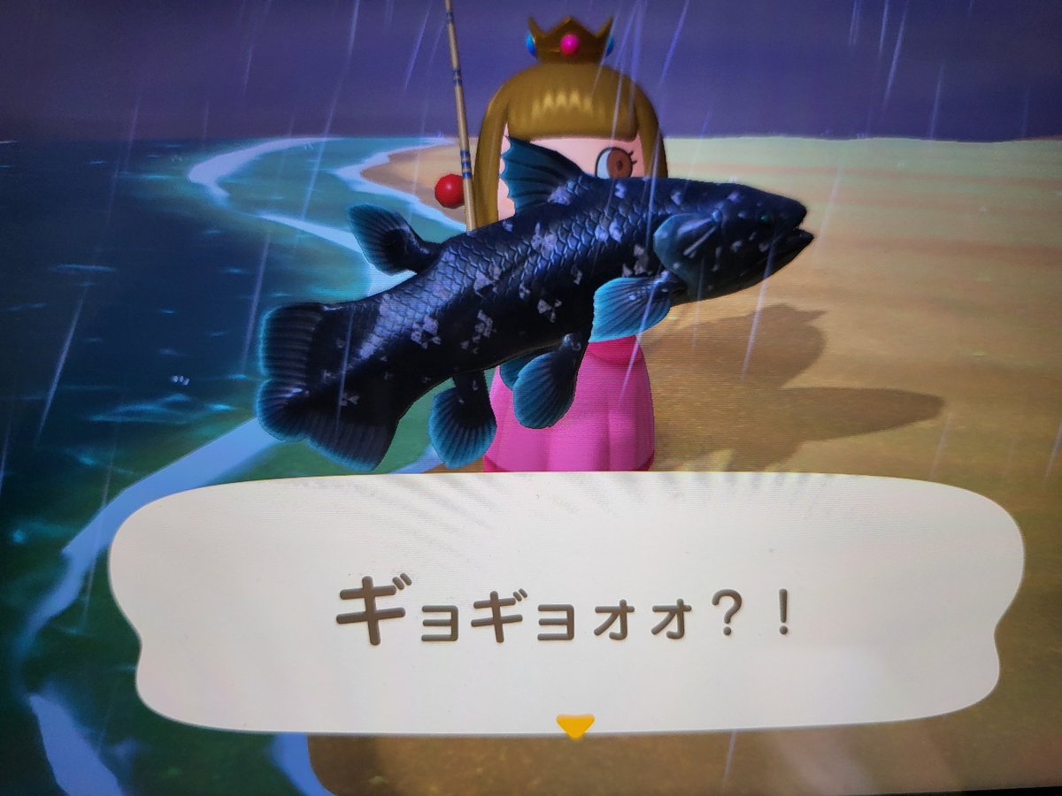 ペンコペンコ tweet media