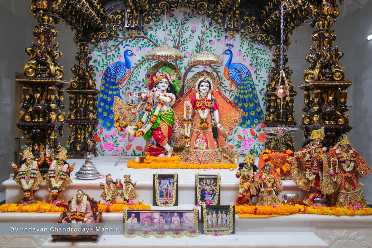 Vrindavan Chandrodaya Mandir tweet media