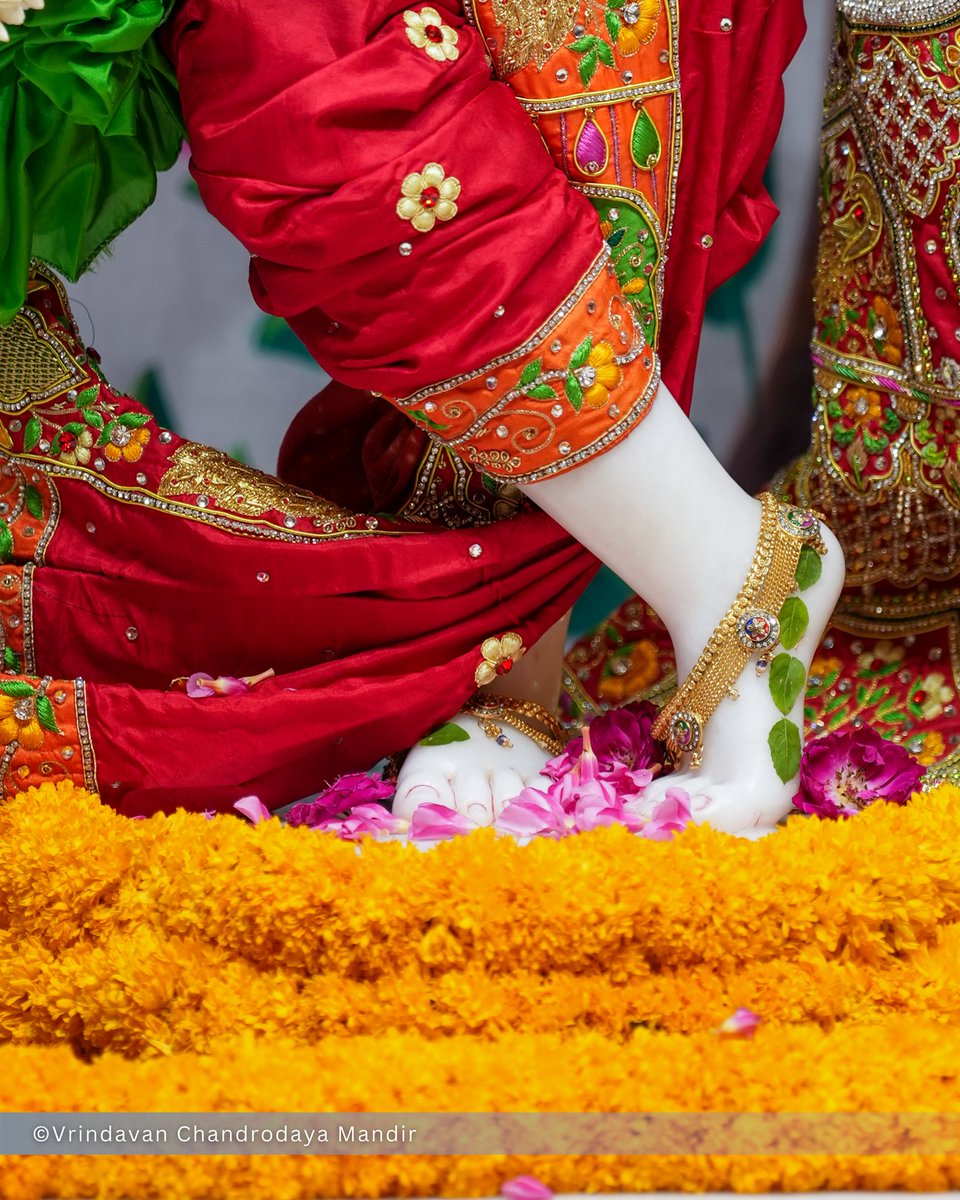 Vrindavan Chandrodaya Mandir tweet media