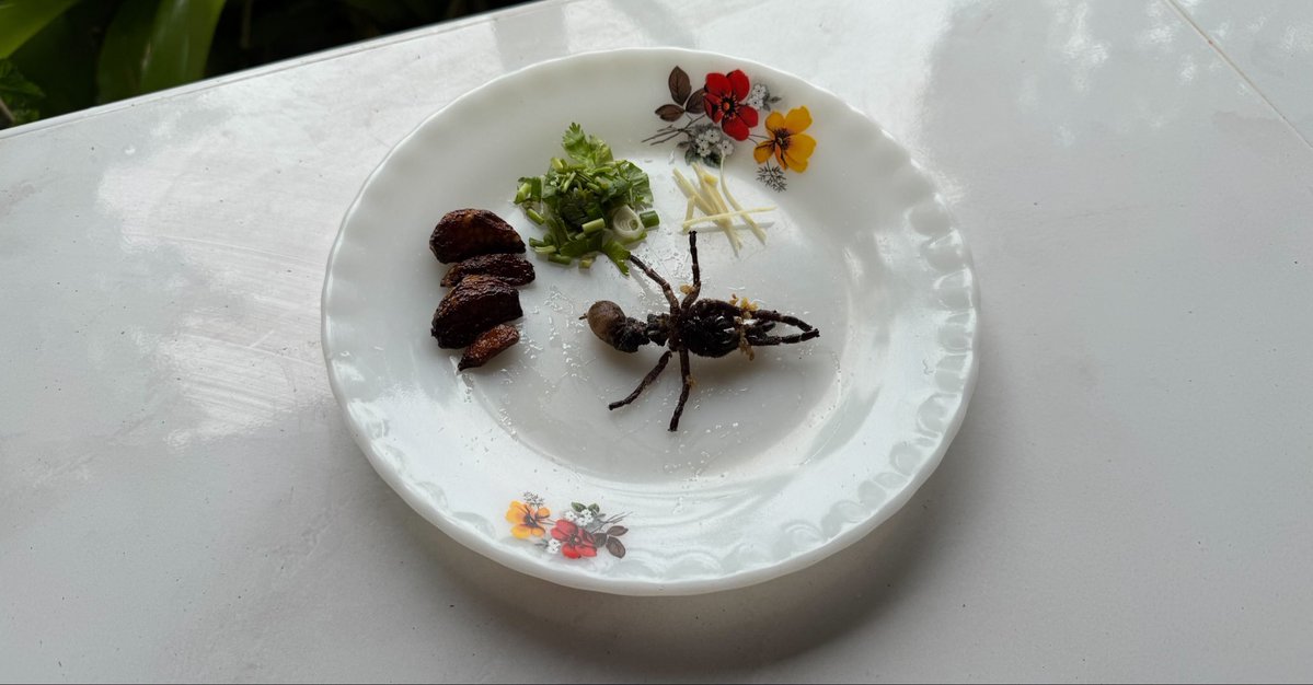 昨日捕まえたタランチュラを朝食で素揚げにしたんだけど、マジでカニすぎてびっくりした。足は焼きガニ、胴体はワタリガニを半分に割った時に見える身の味で、胴体は完全にカニ味噌。まじの100％一致。感動した。日本にいたら獲られすぎて絶滅してる味。