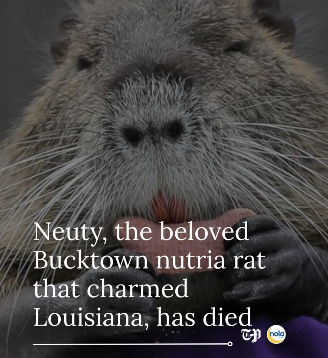 Streetcar tweet media