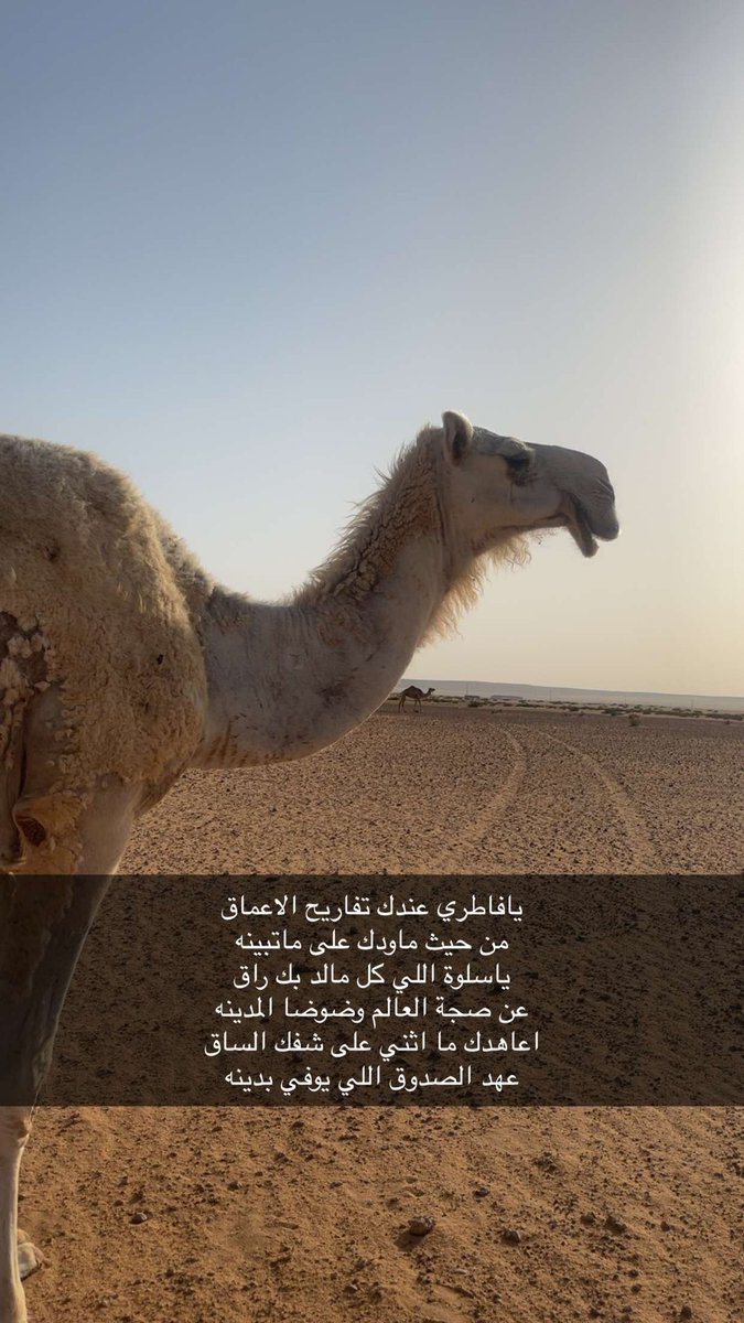mgbas_1's tweet photo. https://t.co/ieKlyCoRhq