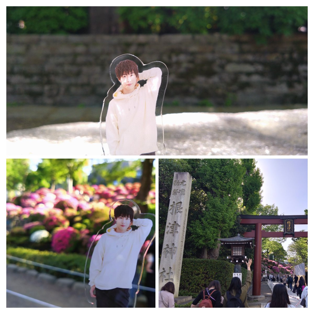 kaoringtree1102's tweet photo. @1102_ringtree 
もうすぐ1年です🍎🍏
お元気ですかね?？
あまりにもお顔が拝めないので、心配しております😟 https://t.co/CiNsSWGoIp