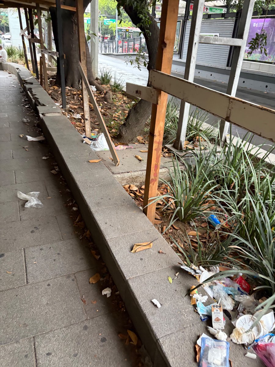 maureensatarkey's tweet photo. @MrLotario Tal cual, mira, Avenida Cuauhtemoc parece el bordo de Xochiaca y @AccionesBJ no hace nada https://t.co/fm5KGEd1I5