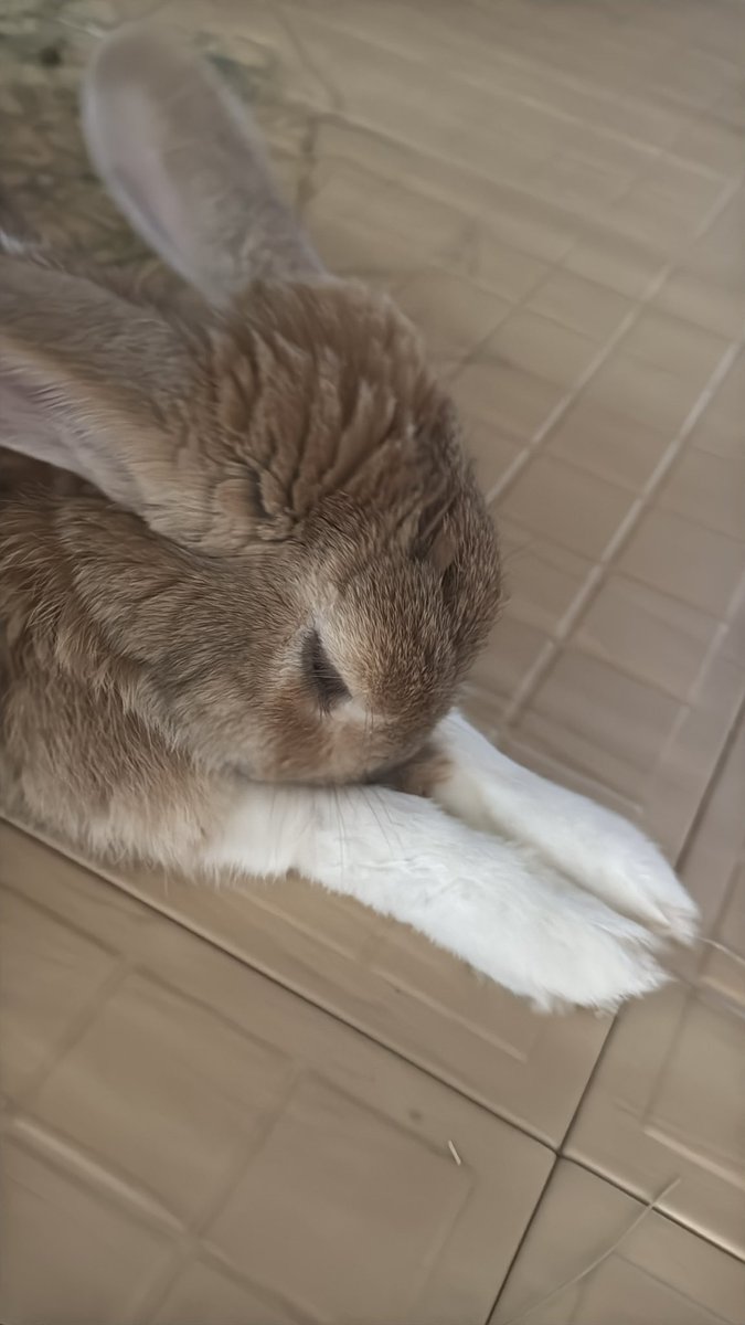 borively's tweet photo. 아니 다리 왜케길어요 https://t.co/ctHxiLYb8K