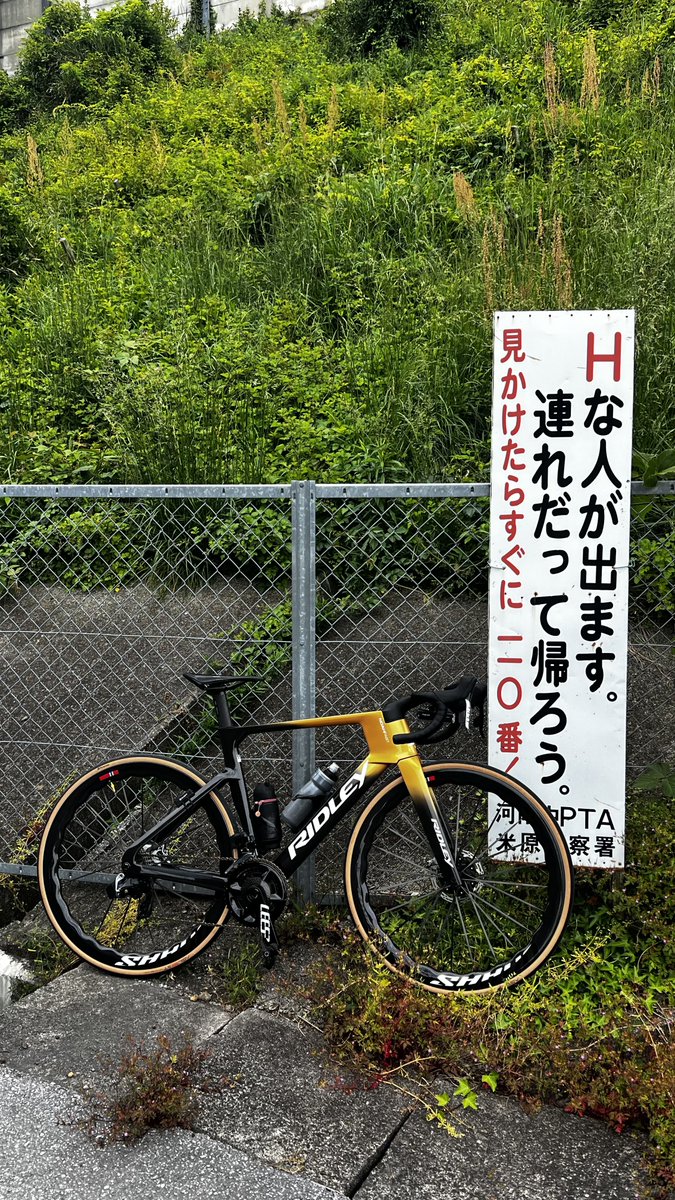 ヘるぽ🎪🦌エクストリームスマイルデリバリー tweet media