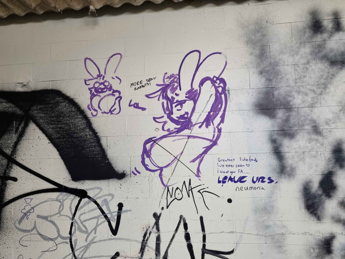 fawn_response's tweet photo. they painted over my local furry t4t graffiti tunnel, ill miss you https://t.co/6frsCevd66
