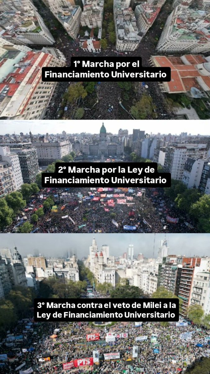 mauro tweet media