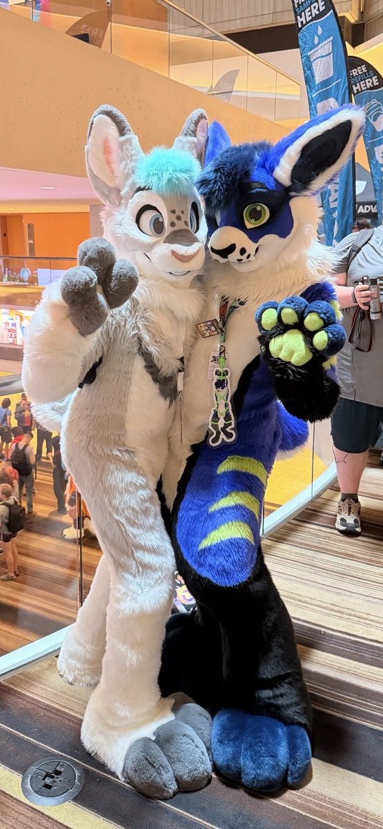 Aspen 🐰🩵 🔜 FWA tweet media
