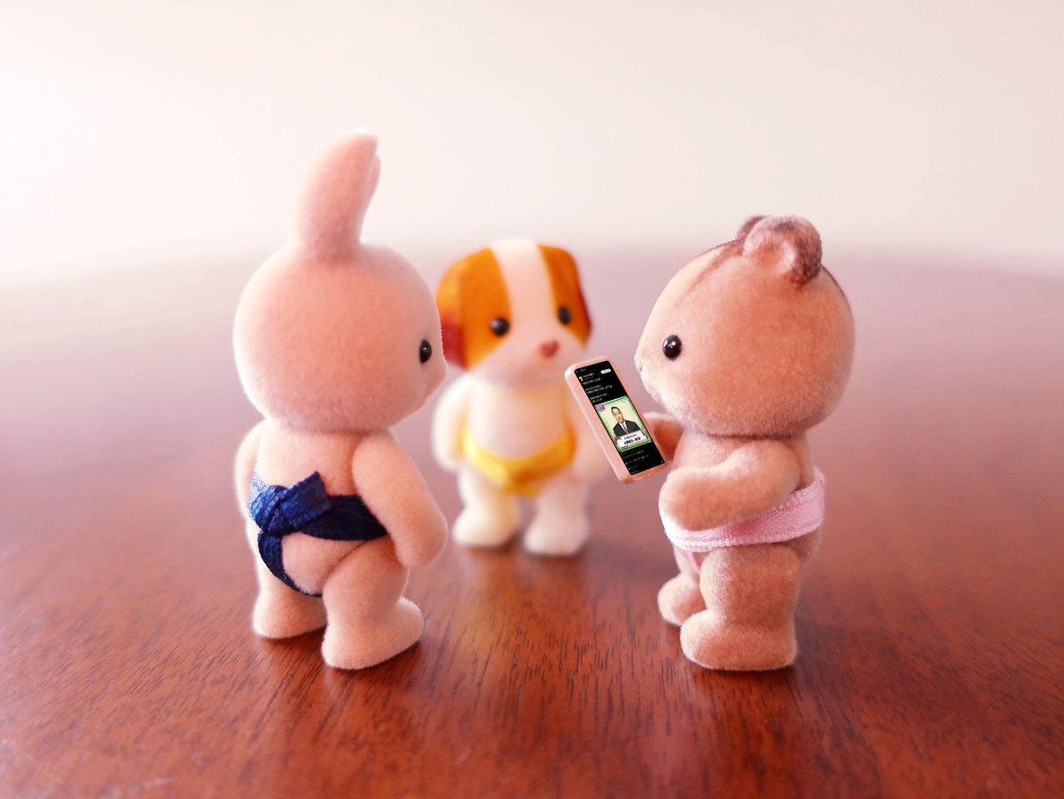 シルバニアファミリーのくるみリスの赤ちゃん tweet media