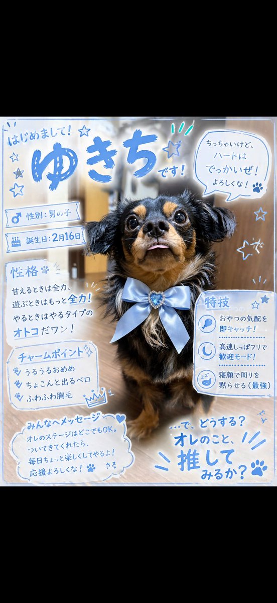 olo_kf's tweet photo. やっと休みだー( ᴗ̀ ̫ᴗ́ ) https://t.co/eDX1ZUpBpf