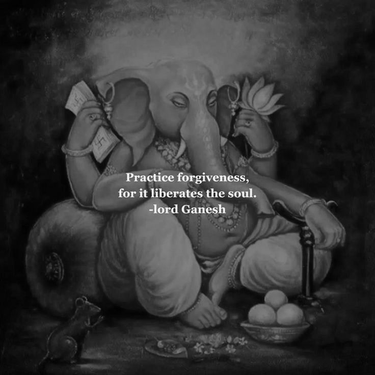 Primal focus tweet media