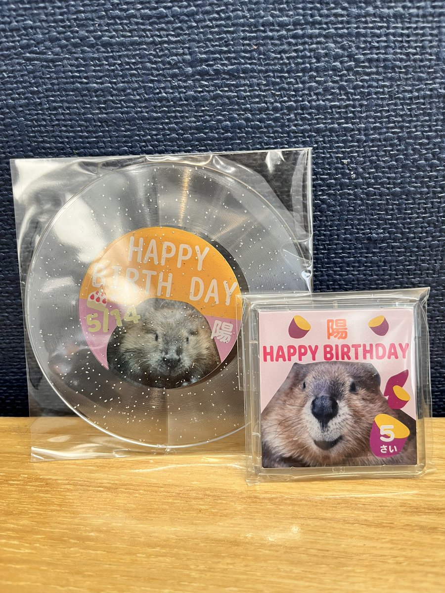 oekaki_suizoku's tweet photo. 5月14日は陽ちゃんのお誕生日🎂💕
陽ちゃんグッズ販売いたします！！
#鳥羽水族館
#おえかき水族館
#ビーバー🦫
#陽ちゃん https://t.co/ssXJXsf2u0