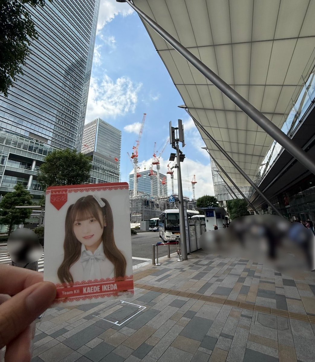 もやし。 tweet media