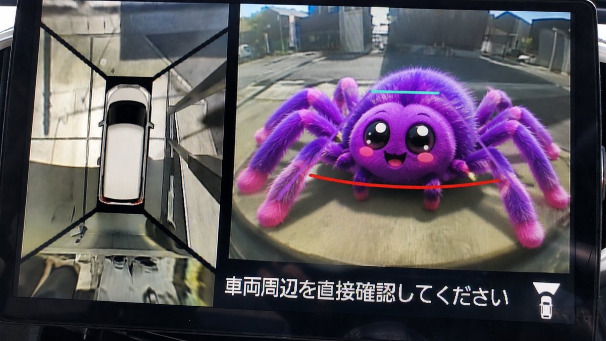 gn0001setuna's tweet photo. 夜勤明けで家に着いてリバース入れた瞬間、バックモニターにクモがドアップで映りやがった😱
心臓止まるかと思ったわ！！ https://t.co/ptG3qXNXHV