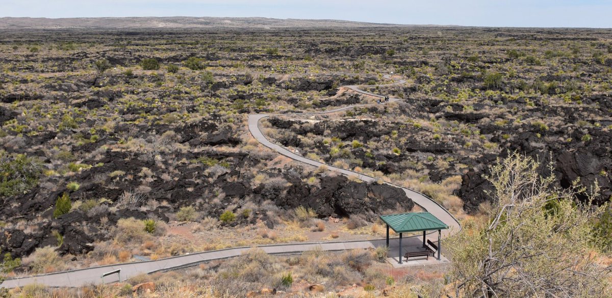 Total scum
Feds officially cancel conservation protection rule for 13.5 million acres of land in New Mexico
They can now mine log and drill public lands without any consideration for preserving plant or animal life 
sourcenm.com/briefs/feds-of…