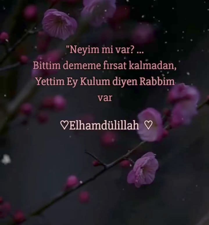 faruk tweet media