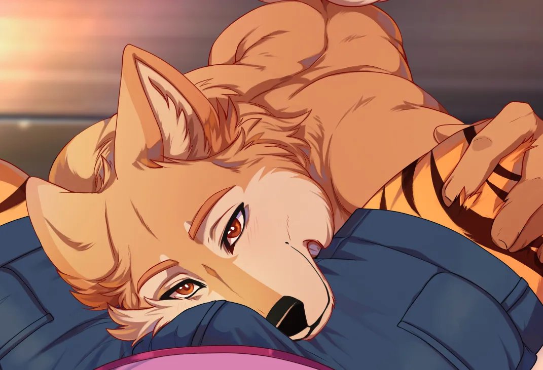 tennisace_vn tweet picture