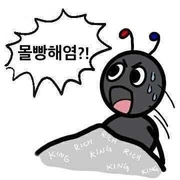 할짓없는사람 tweet media