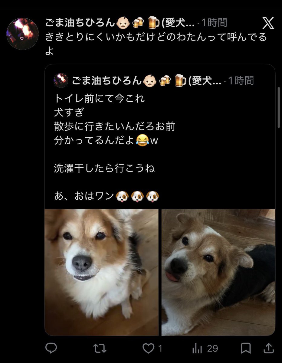 ごま油ちひろん👶🏻🍻🍺(愛犬ノワール♂🐶) tweet media