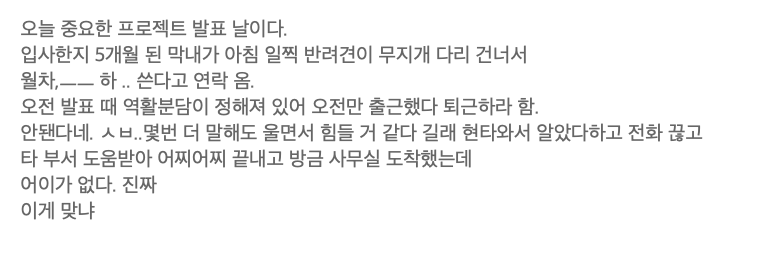 주팅스타 tweet media