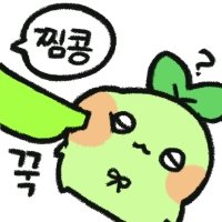 두부 tweet media