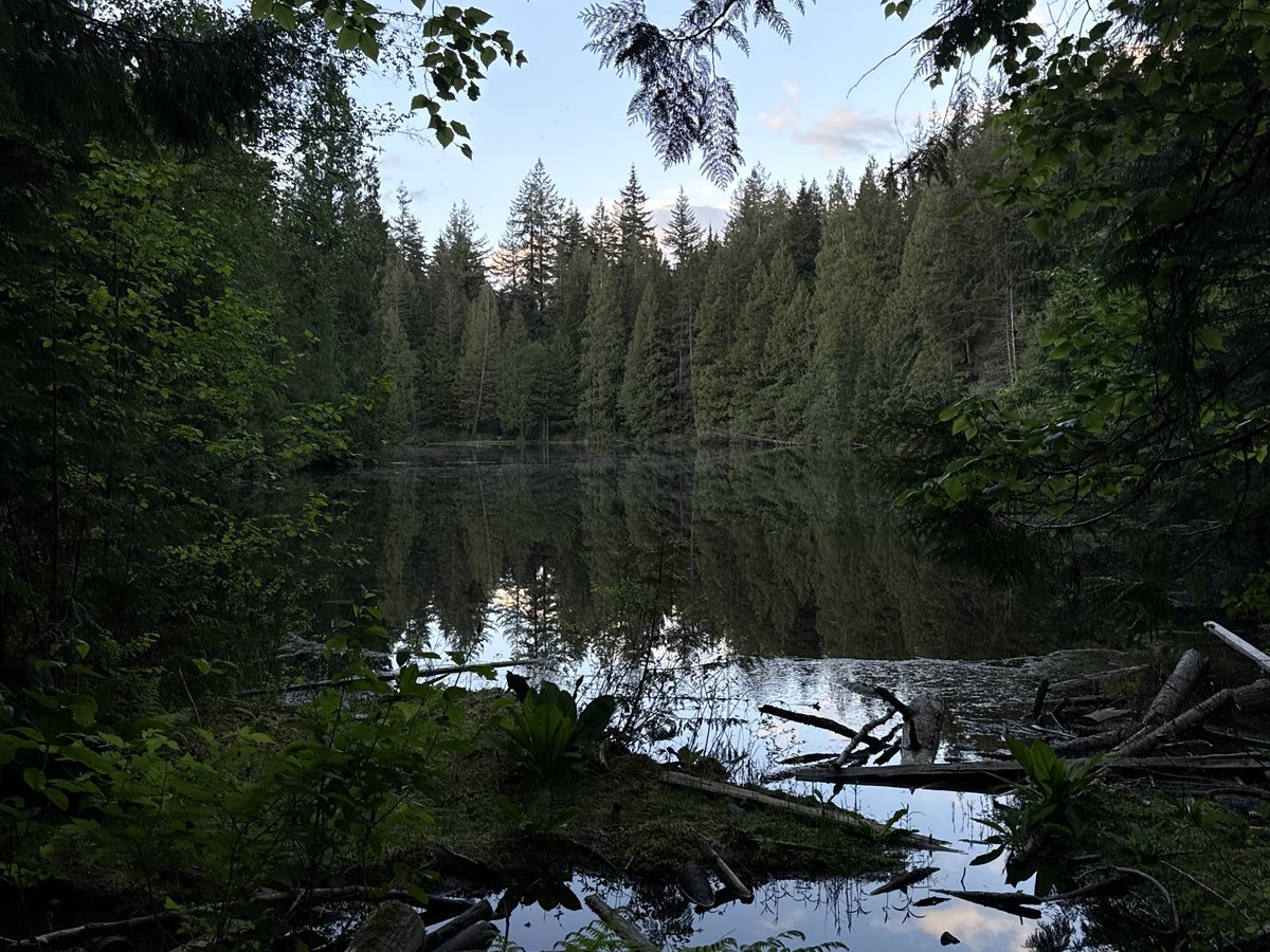 deernamedhunter's tweet photo. Vancouver is pretty cool https://t.co/3zqj4RsBRN