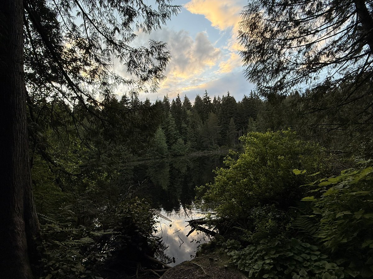 deernamedhunter's tweet photo. Vancouver is pretty cool https://t.co/3zqj4RsBRN