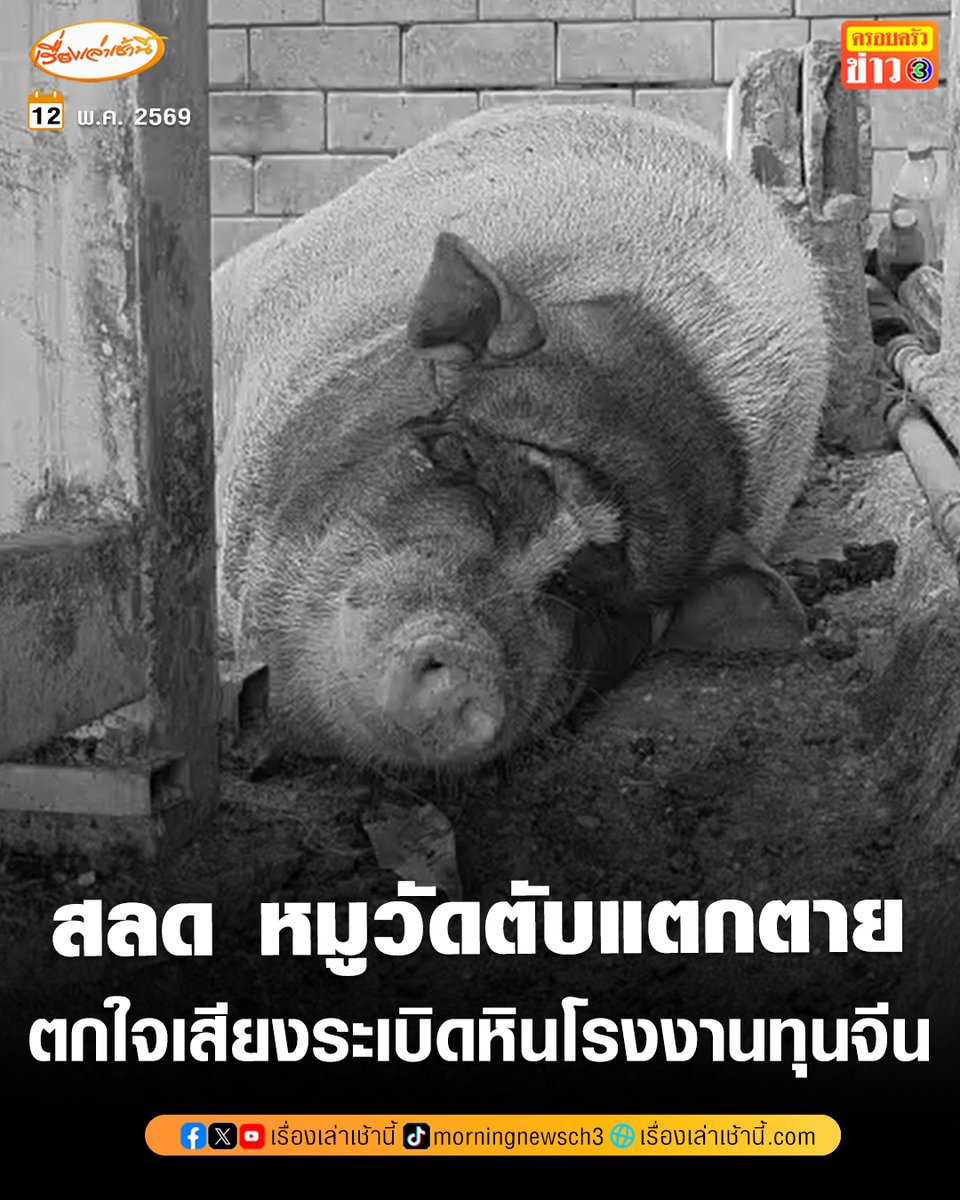 เรื่องเล่าเช้านี้ tweet media