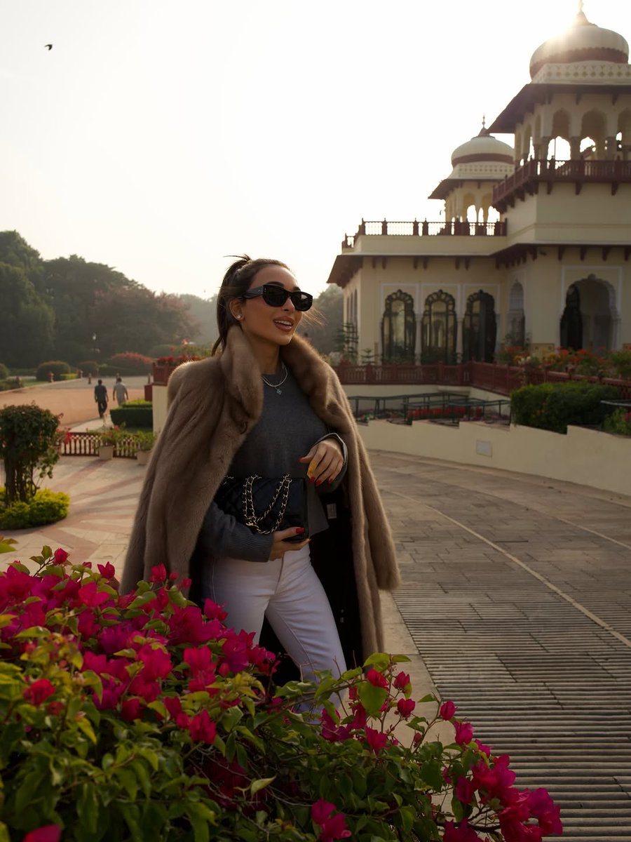 Lailli Mirza tweet media