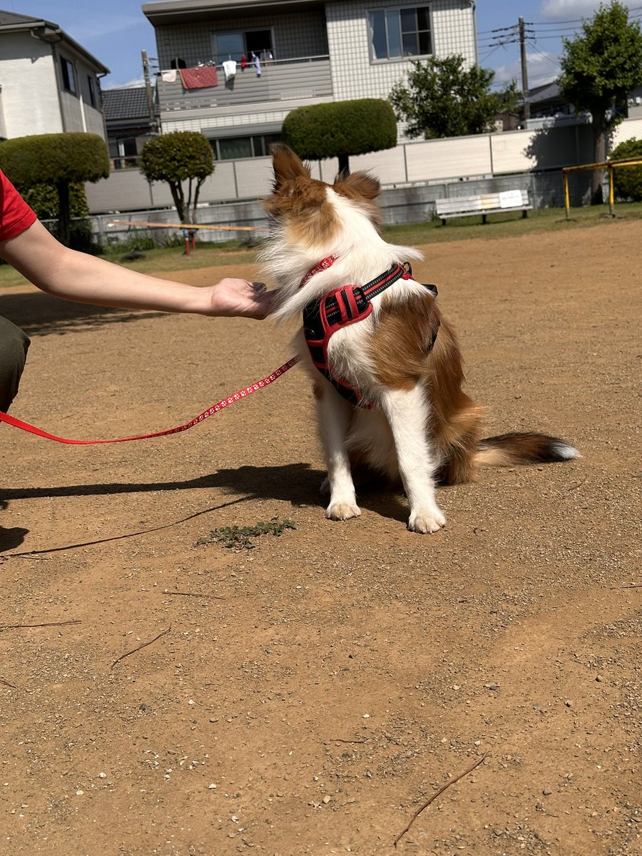 うかる〜る岡本 tweet media