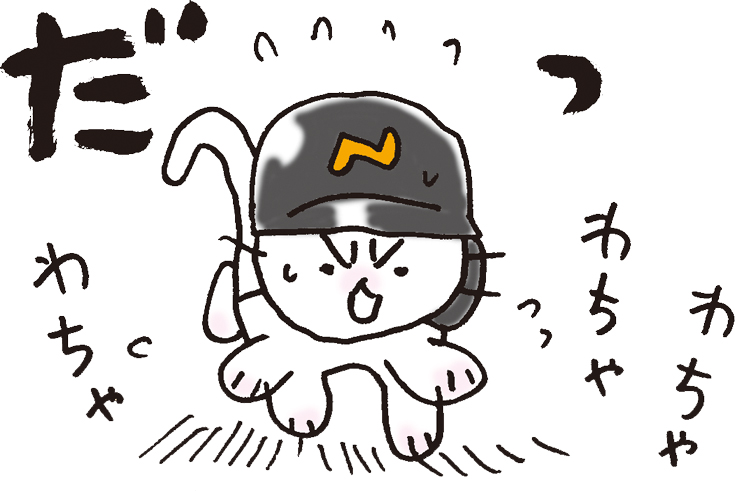 急げ急げ💨 #猫ピッチャー