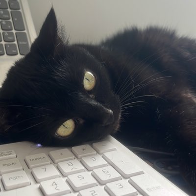 Jésca tweet media