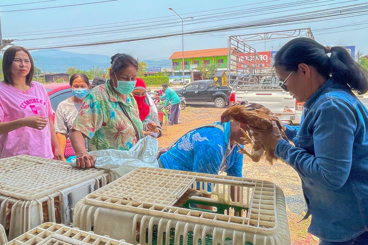 World Vision Thailand tweet media