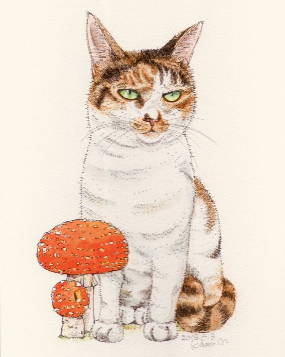 Romancan(猫灯夜譚) tweet media