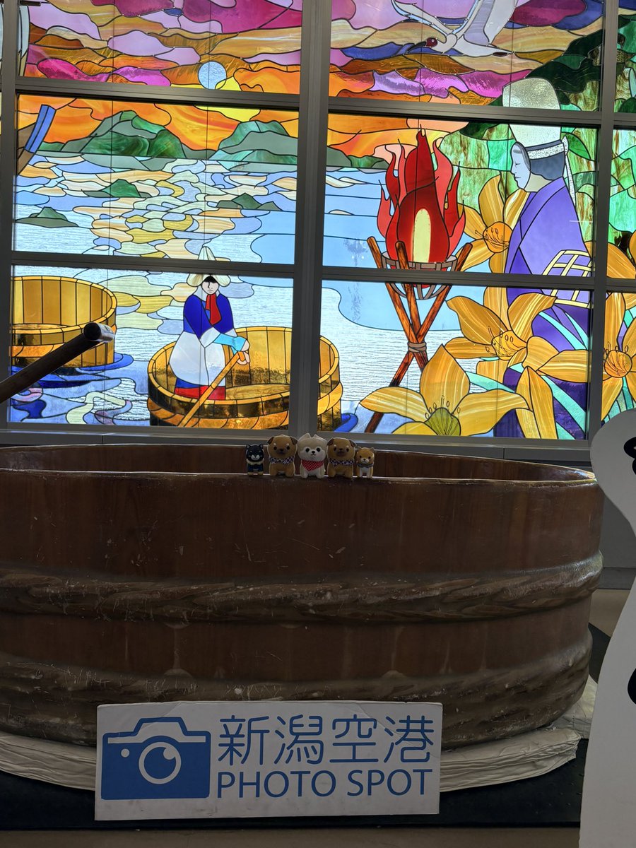 serihaking's tweet photo. 今回往復とも✈️の時間変更があり
大変な思いをしましたが
無事に昨日新潟から帰ってきました
とにかくライブが楽しめて良かった
ガチャで新しく🐶もお迎えできて
良き旅でした🙆‍♀️
#豆しば三兄弟 https://t.co/XVjts83DE1