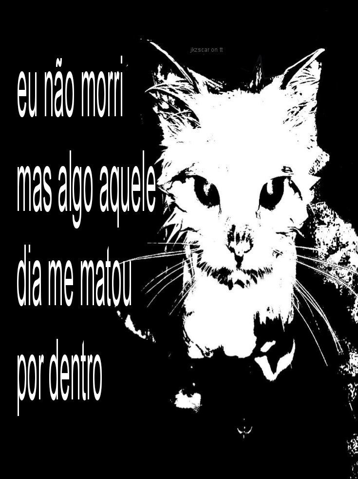 Frases em baixa qualidade tweet media