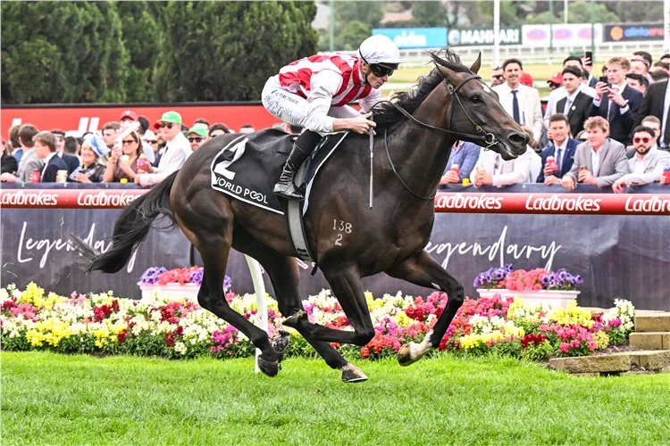 Giddy Up With Gareth Hall tweet media