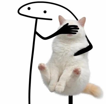 cats 🐈 tweet media
