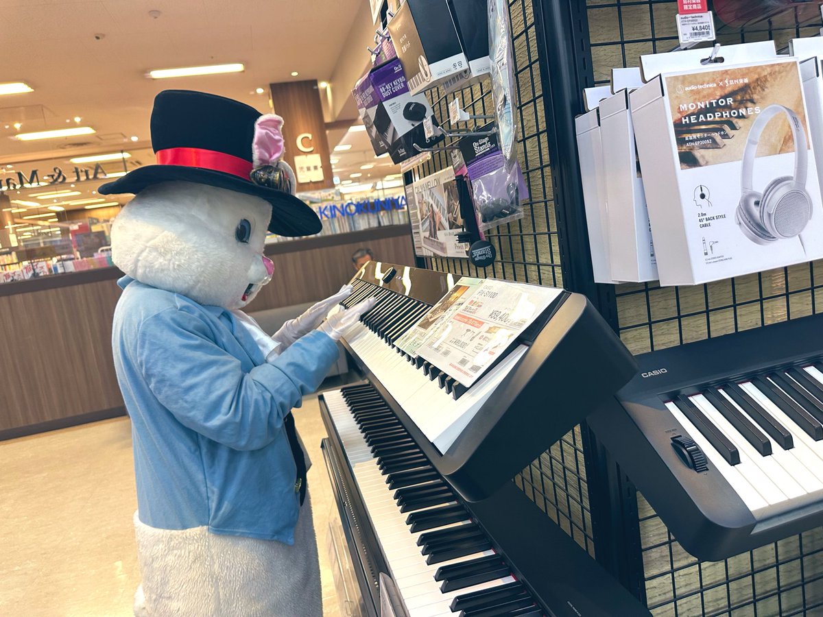 エリー🐰ELIE🐰🏴☠️🩵VPRO海賊団 tweet media