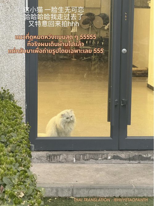 HU YETAO Thailand (slow) tweet media