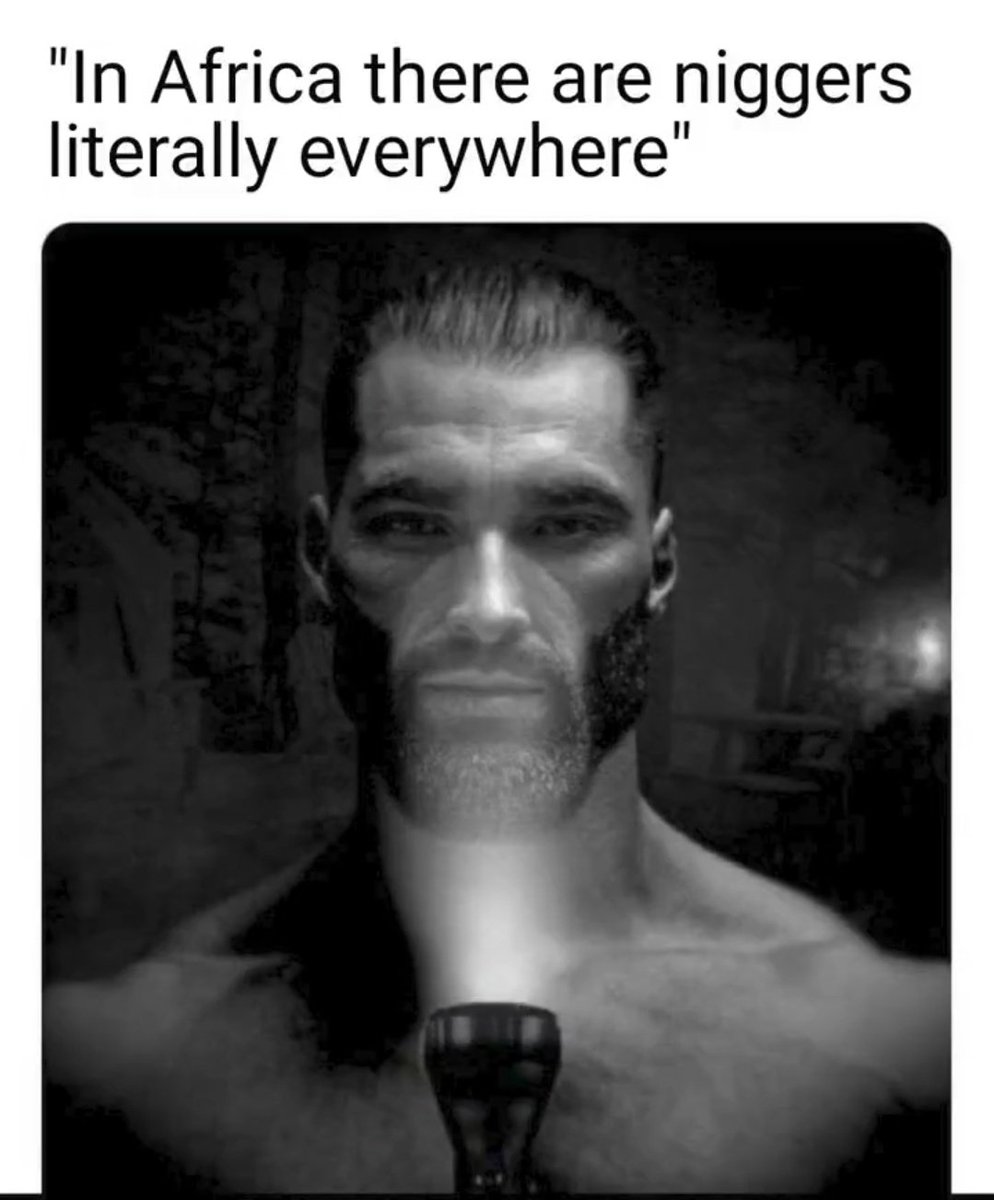 A N tweet media
