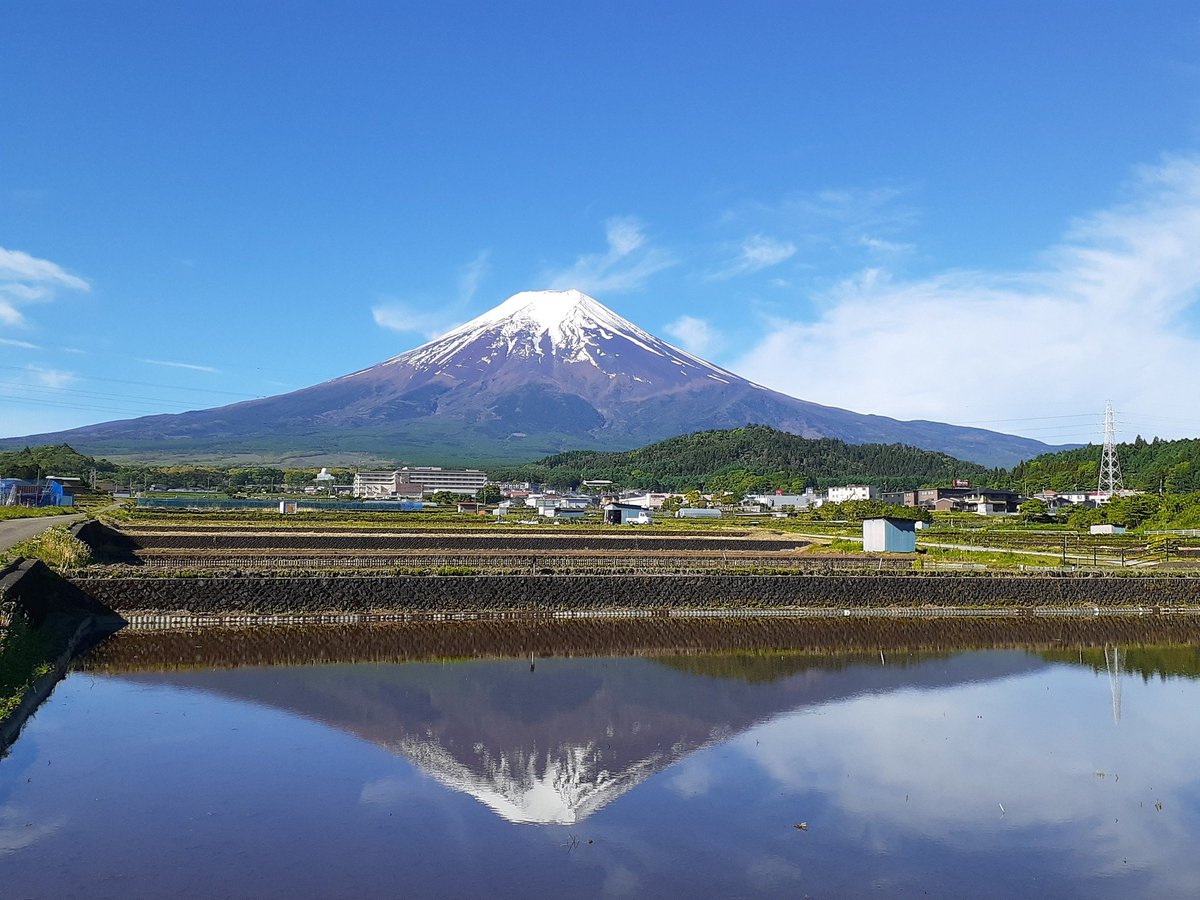 山梨県立リニア見学センター tweet media