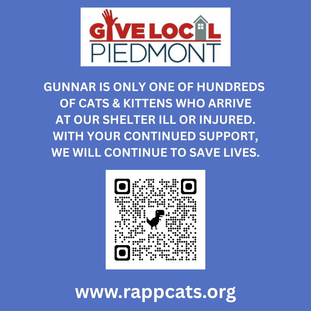 RappCats tweet media