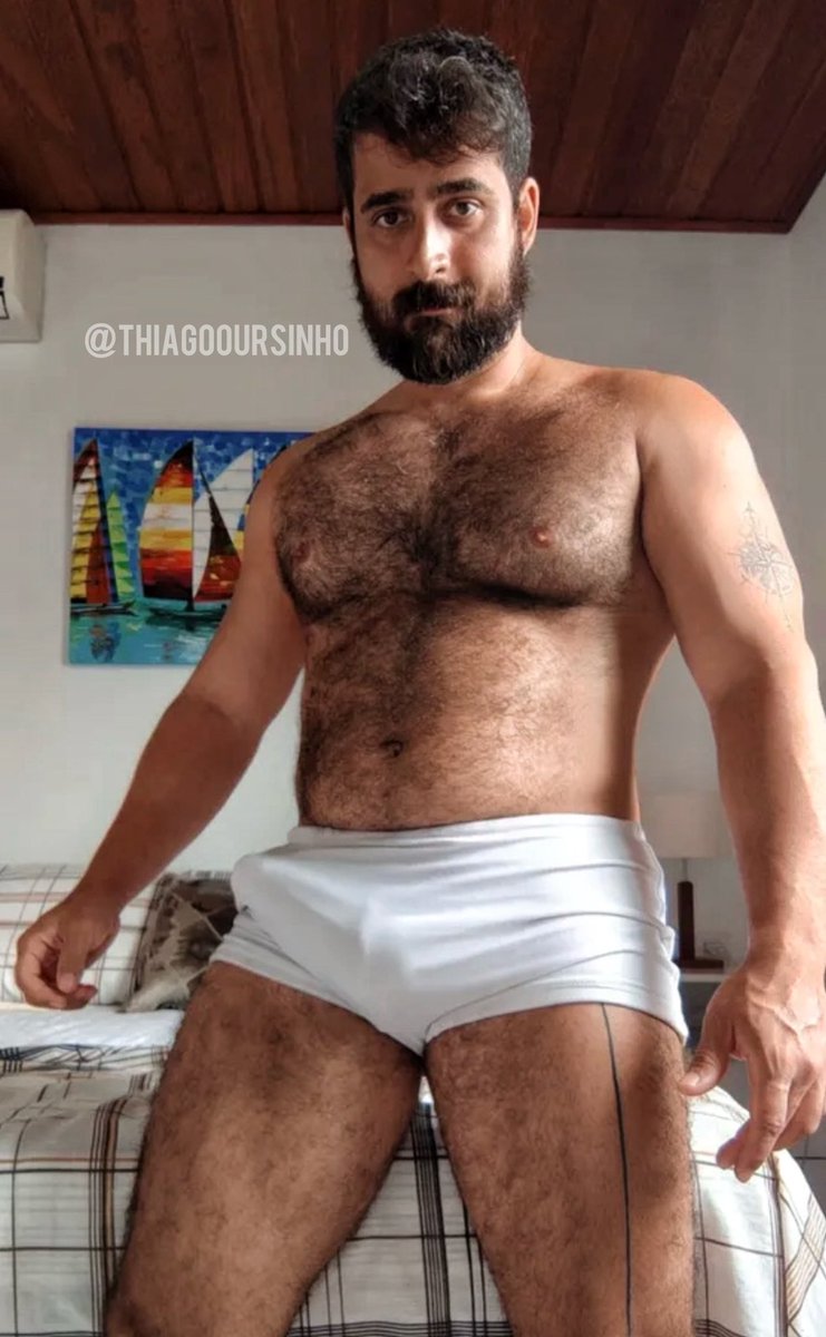 Thiago o Ursinho tweet media