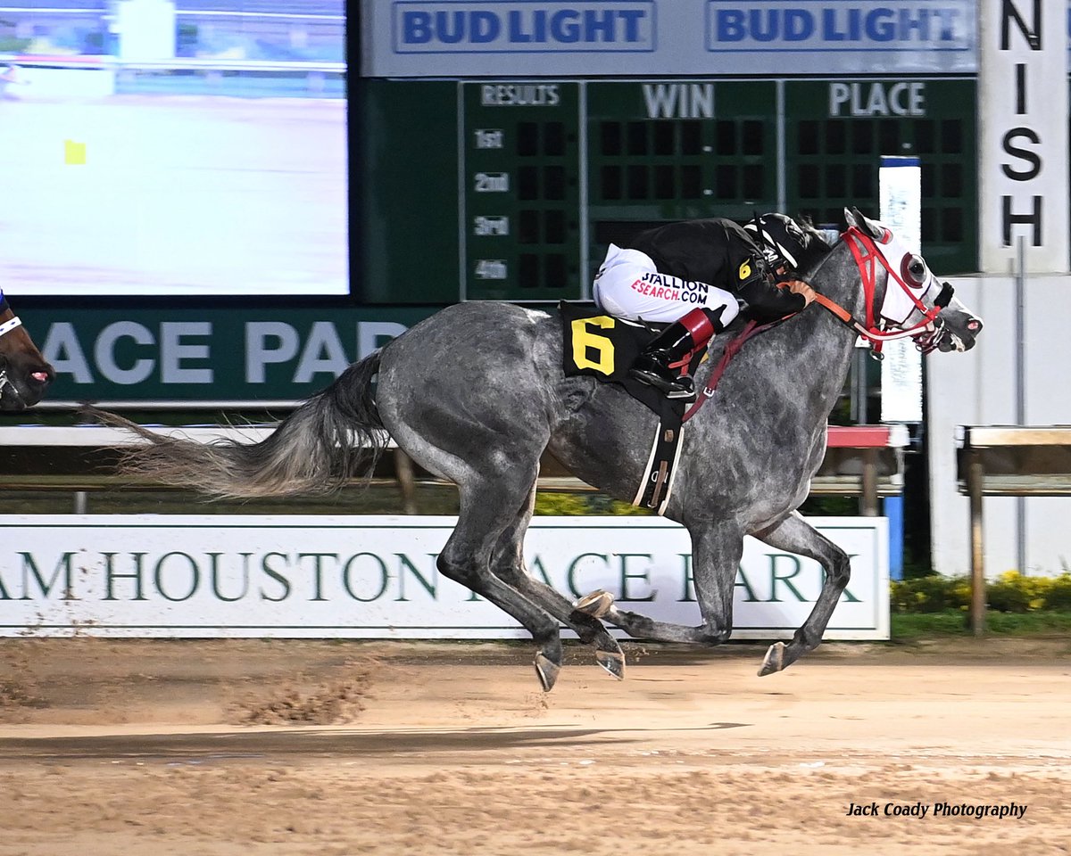 Sam Houston Race Park tweet media