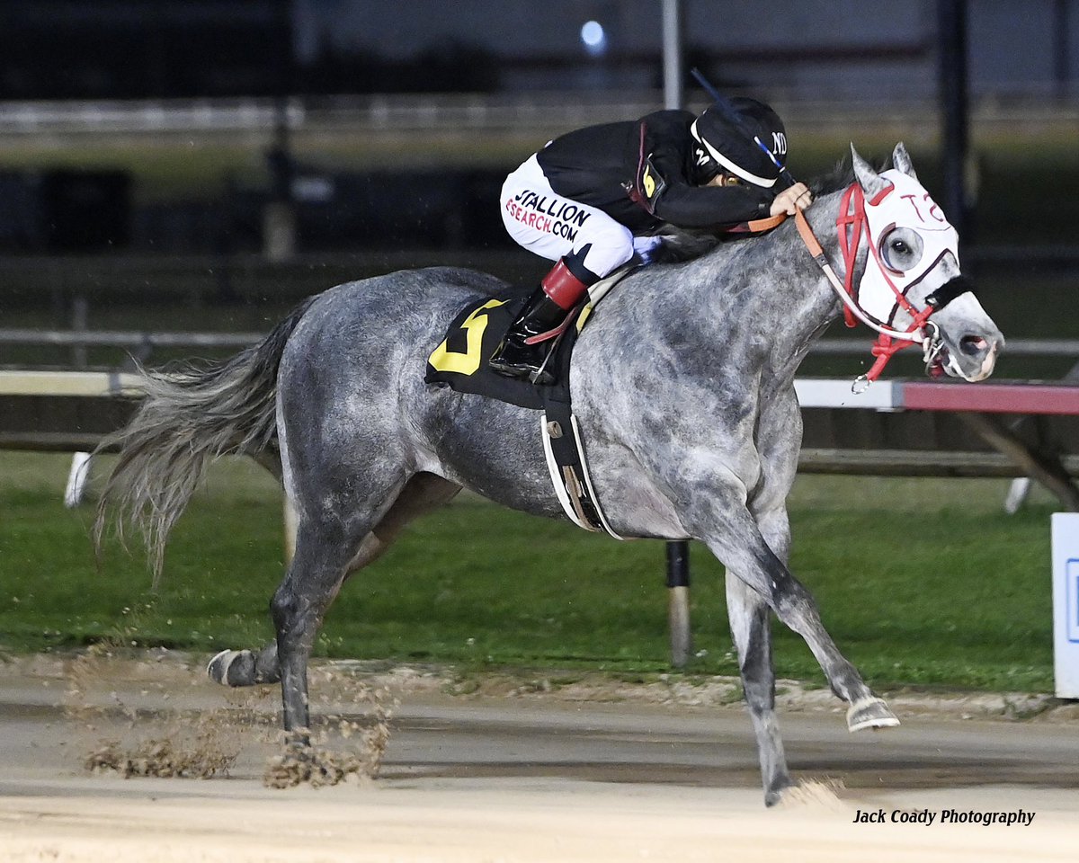 Sam Houston Race Park tweet media