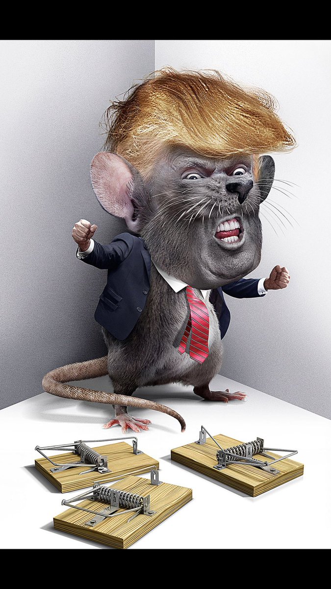NormaCMachado1's tweet photo. @Damaan4u33 @Steve_H54 The last one is my favorite it says so much about the #Abomination #ConvictedFelon #TraitorInChief #HouseOfTrumpHouseOfLies #RELEASETHETRUMPFILES #ReleasetheUnredactedEpsteinFiles #MelaniaIsNotAVictim #PedoProtector #GOP_PEDO_Protectors https://t.co/oSBUIj4KCs